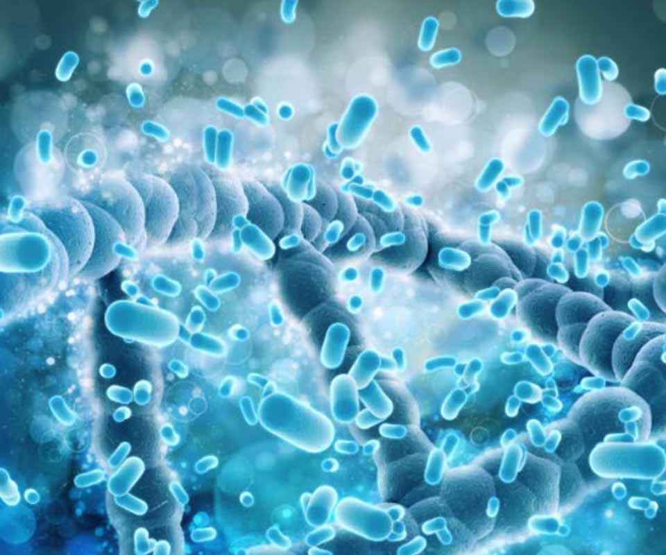 legionella.jpg